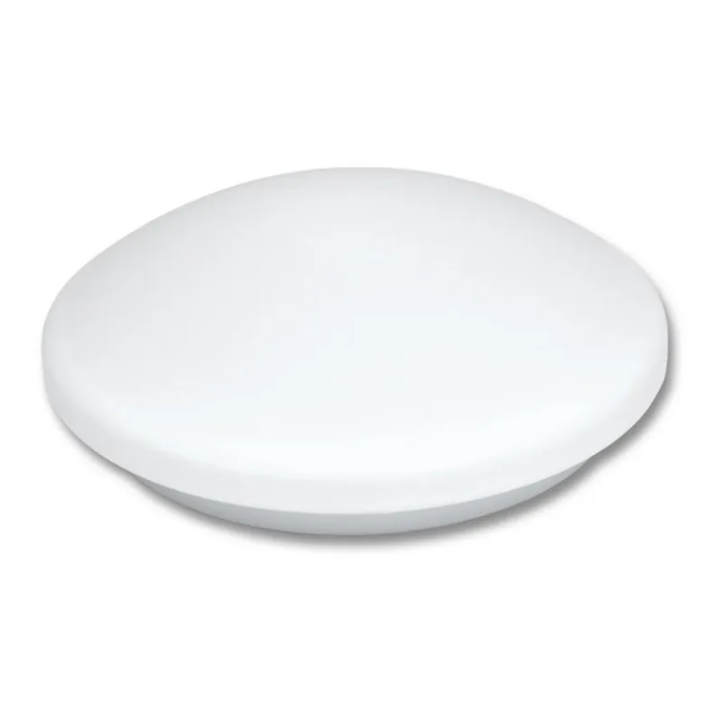 Ordenar Ahora Mismo LED Plafón del baño VICTOR LED/25W/230V IP44