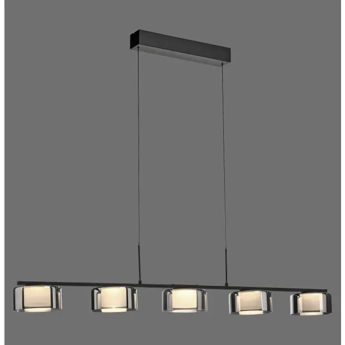 Precio Bajo Lámparas Paul Neuhaus Rika Lámparas colgantes LED Negro, 5 luces