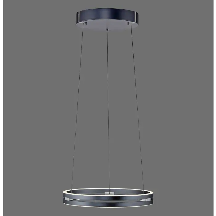 Lámparas Paul Neuhaus E-Loop Lámparas colgantes LED Gris, 2 luces, Mando a distancia Marca Reconocida