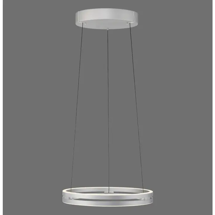 Lámparas Paul Neuhaus E-Loop Lámparas colgantes LED Plata, 2 luces, Mando a distancia Solo Hoy