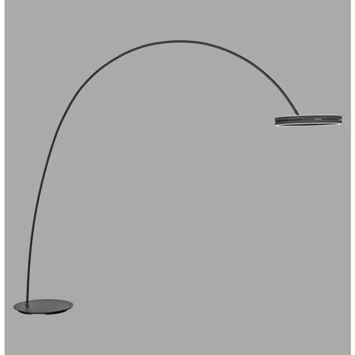 Compra Ahora Lámparas Paul Neuhaus Loop-Bow Lámpara de pie, Lámparas de pie tipo arco LED Negro, 2 luces