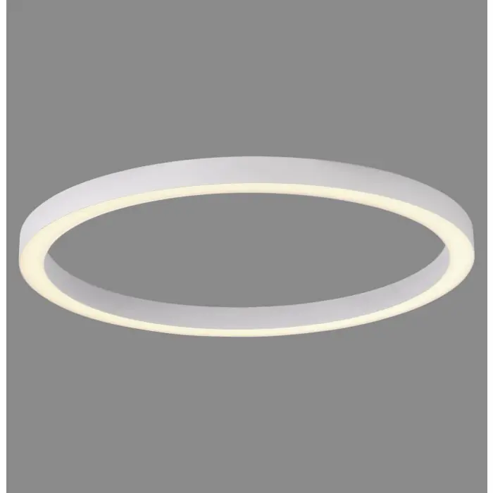 Entrega Rápida Lámparas Paul Neuhaus Round Plafones LED Blanca, 1 luz, Mando a distancia