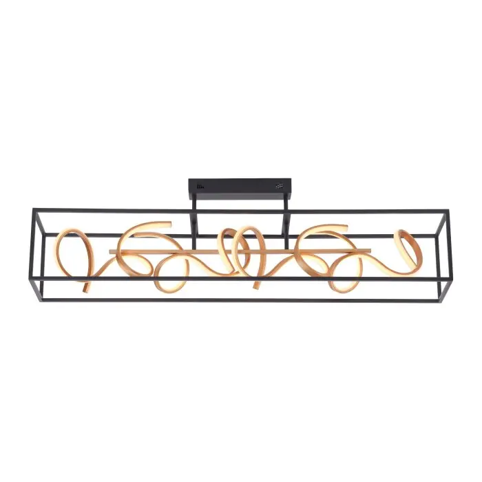 Paul Neuhaus SELINA Lámpara de Techo LED Negro, 4 luces Promoción