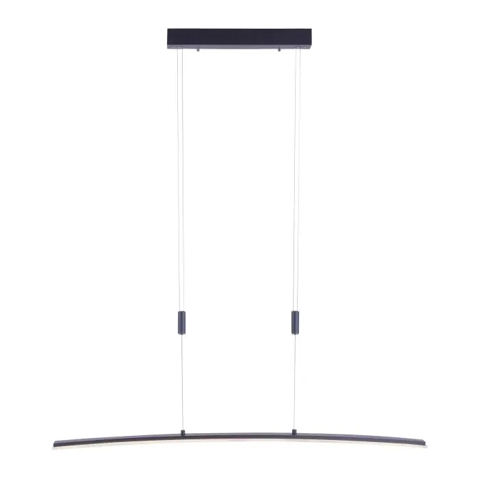 Lámpara Colgante Paul Neuhaus JANINA LED Antracita, 1 luz Gran Oferta
