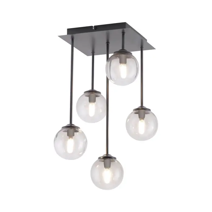 Entrega Rápida Paul Neuhaus WIDOW Lámpara de Techo LED Negro, 5 luces