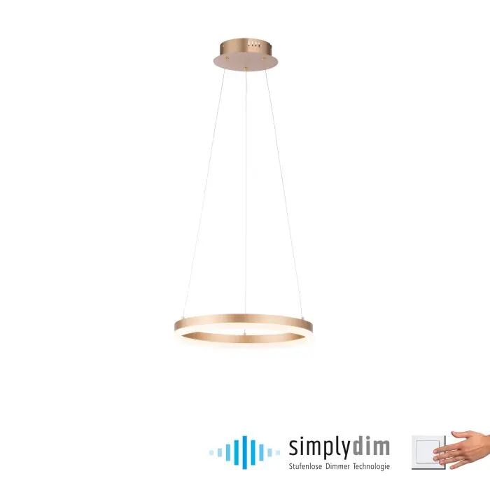Precio De Fábrica Leuchten-Direkt TITUS Lámpara Colgante LED Latón, 1 luz