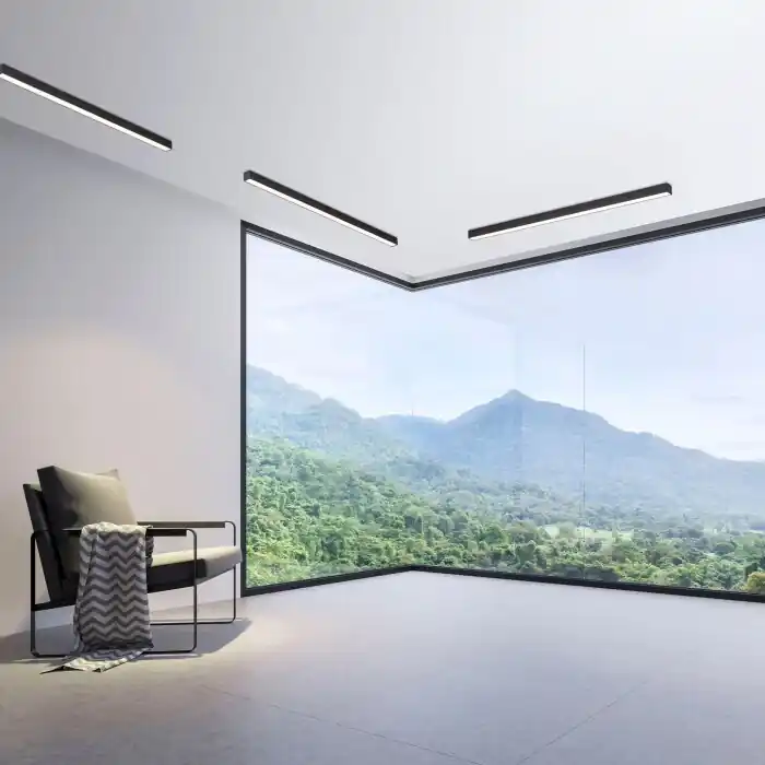 Rebajas Paul Neuhaus PURE-LINES Lámpara de Techo LED Antracita, 1 luz, Mando a distancia