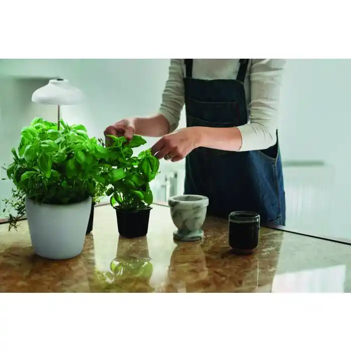Devolución Gratuita LEDVANCE Indoor Garden Toma de jardin con estaca Blanca, 1 luz