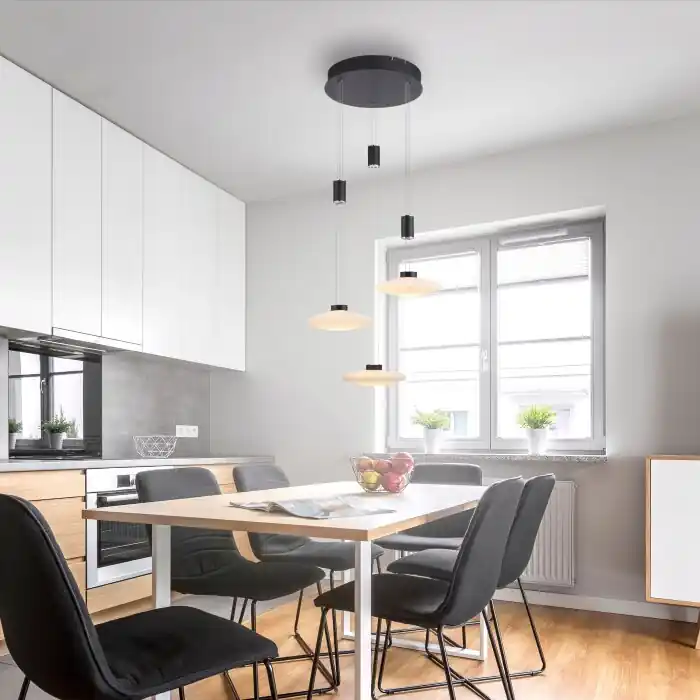 Paul Neuhaus LAUTADA Lámpara Colgante LED Negro, 3 luces Rebajas