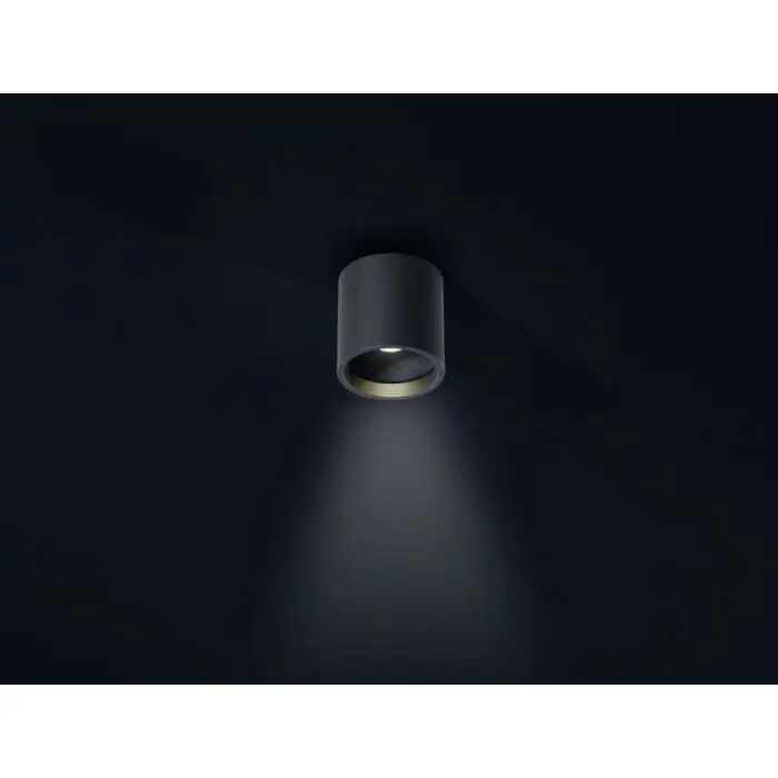 Helestra DORA 1 Lámpara de techo LED Negro, 1 luz Bestseller