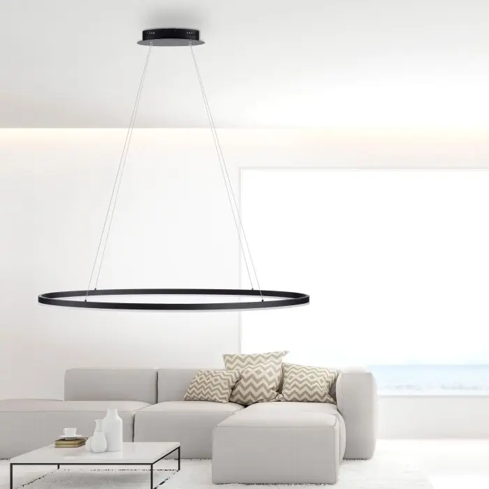 Paul Neuhaus TITUS Lámpara Colgante LED Antracita, 1 luz Stock Limitado