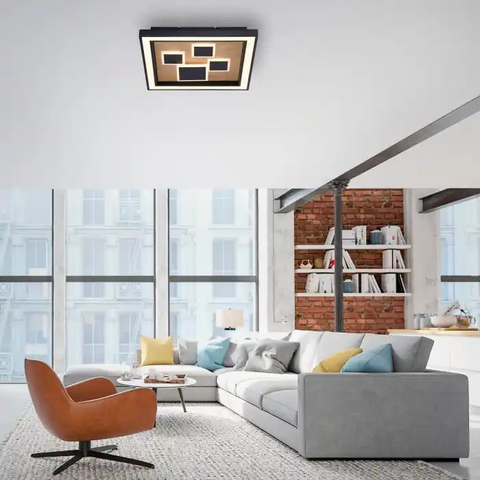 Ordenar Ahora Mismo Paul-Neuhaus ELIZA Lámpara de Techo LED Crudo, Negro, 1 luz