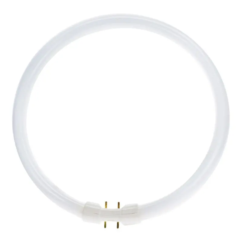 Tubo fluorescente T5 circular | FC | 2GX13 | 22W | 840 Blanco frío | 23cm | Marca propia | sustituye a Lumilux Envío Inmediato