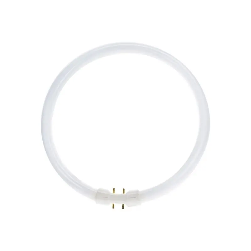 Última Oportunidad MASTER TL5C Circular 55W - 840 Blanco Frío | 30cm