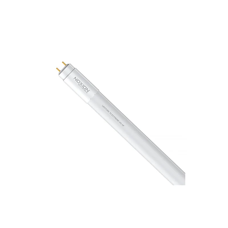 Stock Limitado Noxion Tubo LED T8 Avant Extreme (HF) High Output 14W 2100lm - 840 Blanco Frio | 120cm - Reemplazo 36W