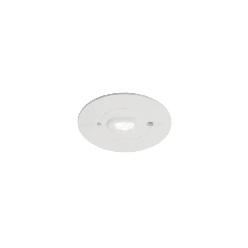 Ansell LED Luz de emergencia Raven Ruta de escape Blanco 3W 111lm 142x49D - 865 Luz de Día | 110mm - IP65 - Luz de emergencia 3 horas - Autocomprobación Descuento