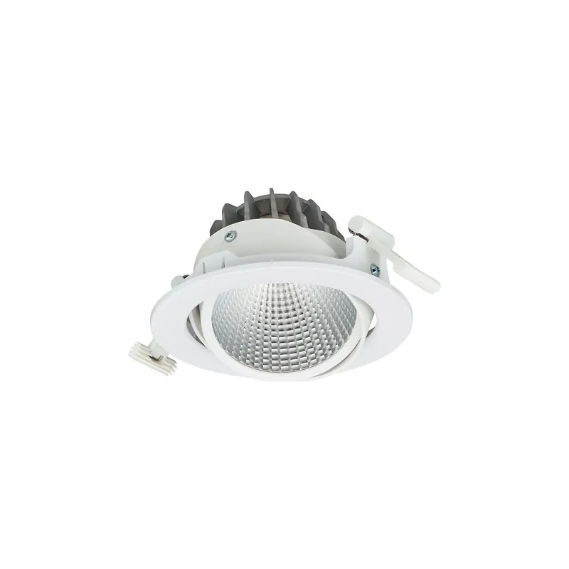 Devolución Gratuita Philips Foco LED Greenspace Accent Cardanic Aluminium Blanco 24W 2700lm 36D - 930 Luz Cálida | 163mm - IP20 - Mejor Reproducción De Color - Interact Regulable