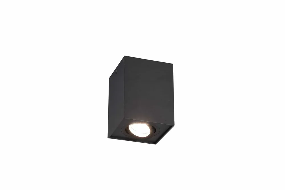 Plafón de techo Trio Biscuit negro mate 9,6cm 613000132 Precio De Oferta